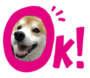 846087627