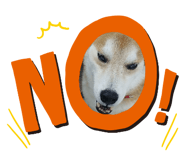 846087628