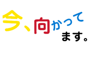 846089567
