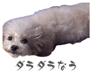 846089814
