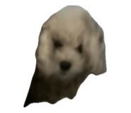 846089816