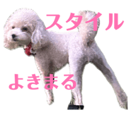 846089820