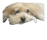 846089823