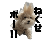 846089824