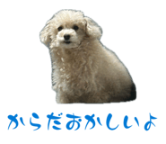 846089826
