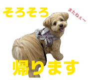 846089840