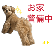 846089842