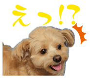 846089846