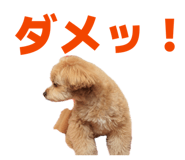 846089850