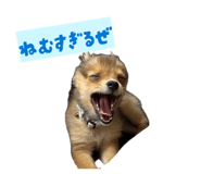 846089932