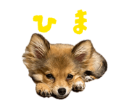 846089933