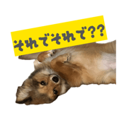846089934