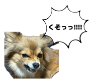 846089938