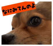846089940