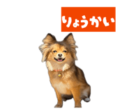 846089943