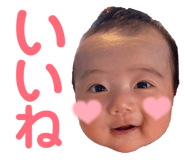 846090355