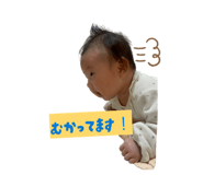846090903