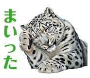 846090963