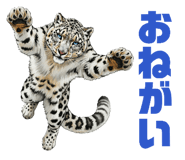 846090972