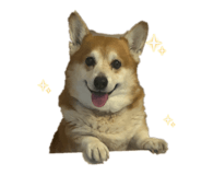 846091217