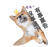 846092980