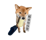 846092982