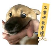 846092984