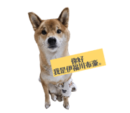 846092987
