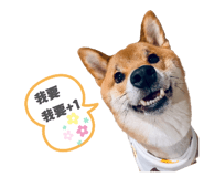 846092992