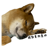846092999