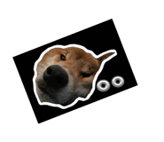 846093002