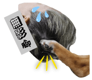 846093003
