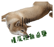 846093015