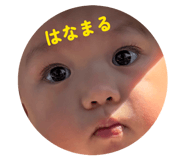 846095980