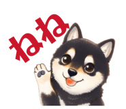846096177