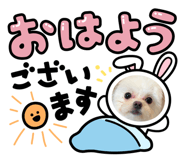 846096343