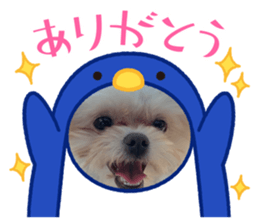 846096344