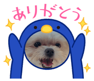 846096344