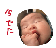 846096589