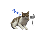 846097446