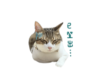 846097468
