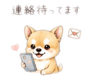 846098081