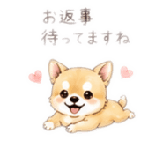 846098083
