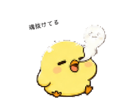 846099558