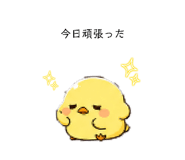846099562