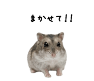846099964