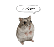 846099981
