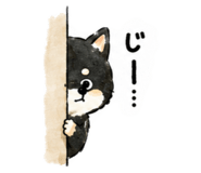 846102977
