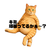 846103014