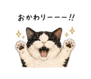 846103372
